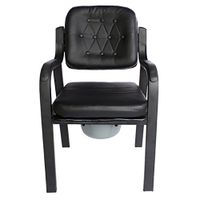 Tx Chair Bath Chair Toilet seat Pregnant Women Old Man Potty Chair Sturdy Waterproof
