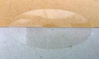 51x25mm Oval x Pack of 60 Gloss Clear Transparent Seals - Removable Low Tack Self-Adhesive Stickers