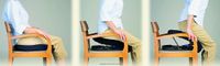 Uplift Seat Assist, Uplift Seat Assist 80-230Lbs, (1 EACH, 1 EACH)