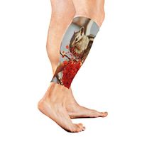 Stretch Sport Calf Sleeve Squirrel Eating Red Fruit Protective Guard for Men Women - Best Footless Compression Socks for Shin Splints, Running,Basketball Football (1 Pair)