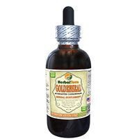 Goldenseal (Hydrastis Canadensis) Tincture, Organic Dried Leaves Liquid Extract (Brand Name: HerbalTerra, Proudly Made in USA) 2 fl.oz (60 ml)