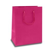 Matte Hot Pink Mini Euro Bags | Quantity: 25 | Width: 3" Gusset - 2 1/2"
