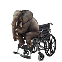Light Foldable Disabled Equipment Manual Wheelchair,Big Wheels Elderly Care Products for Overweight People