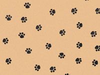 PAW PRINT KRAFT Recycled Tissue120~20"x30" Half Ream Tissue Prints (2 unit, 120 pack per unit.)