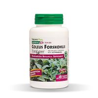 NaturesPlus Herbal Actives Coleus Forskohlii - 125 mg, 60 Vegan Capsules - Heart Support Supplement, Supports Healthy Metabolism - Vegetarian, Gluten-Free - 60 Servings