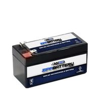 12V 1.2AH Sealed Lead Acid (SLA) Battery for 1.2-12