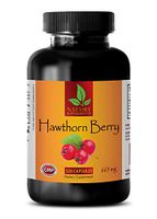 Cardiovascular Supplement - Hawthorn Berry 665MG - Hawthorn Berry Extract - 1 Bottle (120 Capsules)