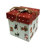 Cute Multi Dog Breeds in Winter Attire Embellished Small Decorative Holiday Gift Box (Cube)