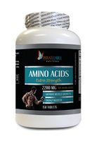 Muscle Building Pills for Men - Amino ACIDS Extra Strength 2200MG - Amino acids with leucine - 1 Bottle 150 Tablets