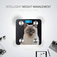 Cute Blue Eyes Siamese Cat Bodyfat Scale Scales for Body Weight Digital Scale Bluetooth Tracks 8 Key Compositions Analyzer Sync with Fitness Apps 400 Lbs
