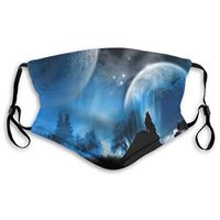 Mouth Masks for Dust Protection Anti Face Mask Washable Earloop Mask Activated Carbon Filter
