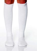 Absolute Support Unisex Sheer Compression Stockings | 8-15mmHg | Black/X-Large