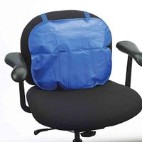 Inflatable Lumbar Support