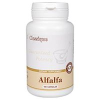 Alfalfa