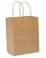 SafePro TEMB, 8x4x10-Inch Kraft Paper Shopping Bags With Handles, Disposable Take Out Unprinted Grocery Bags, 250-Piece Bundle