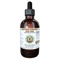 GUI Zhi Alcohol-Free Liquid Extract, GUI Zhi, Cinnamon (Cinnamomum Cassia) Twig Glycerite Herbal Supplement 4 oz