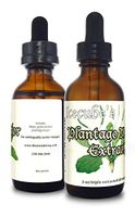 New Icecube's Triple-Extracted PLANTAGO Major Extract (2 oz.) …