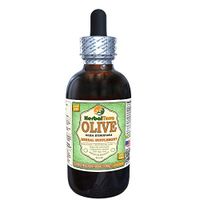 Olive (Olea Europaea) Glycerite, Organic Dried Leaves Alcohol-Free Liquid Extract (Brand Name: HerbalTerra, Proudly Made in USA) 4 fl.oz (120 ml)