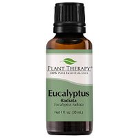 Plant Therapy Eucalyptus Radiata Essential Oil 30 mL (1 oz) 100% Pure, Undiluted, Therapeutic Grade