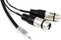 Pro Co 10 Feet IPMB2XF-10, 1/8 Inches TRS to (2) XLRF Y-Cable - 10 Foot, XLR Female