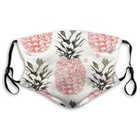 Pineapple Protective Mask with Gasket Disposable Water Repellent Multilayer Filter Adult Sunscreen Large Mask M