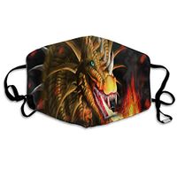 Face Mask Dragon 3D Fire Vintage Cycling Half Face Earloop Dust Mask for Women