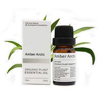 Vetiver Essential Oil, 100% Pure Natural Aromatherapy Vetiver Oils for Diffuser (10ML)