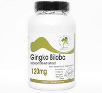 Ginkgo Biloba Standardized Extract 120mg 24% Glycosides ~ 100 Capsules - No Additives ~ Naturetition Supplements