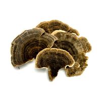 Dried Turkey Tail Mushrooms - 1 oz.