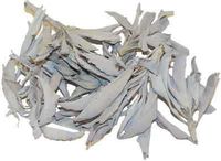 CLUSTERS CALIFORNIA WHITE SAGE LOOSE 1oz. BAG by Rainbow Seeds
