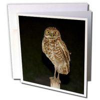 3dRose Mama Owl - Greeting Cards, 6 x 6 inches, set of 6 (gc_7357_1)