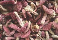 Red Mushroom Russula Dried 710 Gram