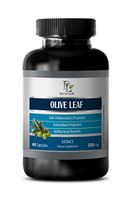 Immune Support Capsules - Olive Leaf Extract 500MG - Dietary Supplement - Brain Memory Supplements - 1 Bottle (60 Capsules)