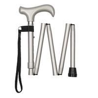 Handbag Size Metallic Silver/Grey Folding Cane