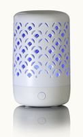 Greenair Nature's Remedy Trellis Essential Oil Aromatherapy Diffuser #625
