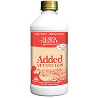 Buried Treasure - Added Attention - Childrens Learning Support 16 oz - 3 Pack