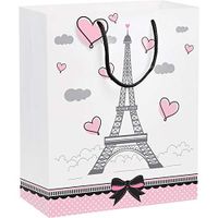Creative Converting 325107 Party Supplies, 12” x 10” x 5”, Multicolor