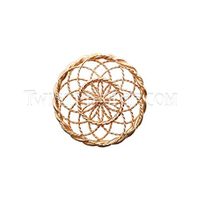 Golden Fire Torus