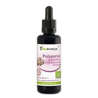Biotraxx Polypore (Polyporus umbellatus) Extract Mushroom Tincture 50 ml, Made in Germany