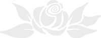 hBARSCI Rose Vinyl Decal - 5 Inches - for Cars, Trucks, Windows, Laptops, Tablets, Outdoor-Grade 2.5mil Thick Vinyl - White