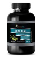 Immune Support for Women - Olive Leaf Extract 500MG - Dietary Supplements - Whole Leaf Olive Immune Support - 1 Bottle (60 Capsules)
