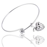 Aromatherapy Essential Oil Diffuser Lava Stone Bracelet Vintage Apple Cage Locket Adjustable Silver Bangle
