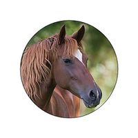 Brown Horse Head Stickers - Gift Bag or Envelope Seals - Equine Animal Theme Stationery Design - Party Favor Supplies - Set of 24