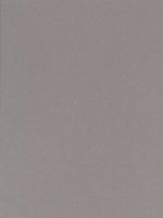 Canson Mi-Teintes Mat Board flannel gray 16 in. x 20 in. [PACK OF 5 ]