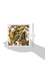 3dRose John J Audubon Painting Of Parrots pd-us - Greeting Cards, 6 x 6 inches, set of 12 (gc_119773_2)
