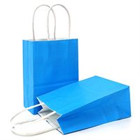AZOWA Gift Bags Mini Kraft Paper Bags with Handles(Light Blue, 25 Pcs)