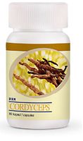DXN Cordyceps 60 Capsules (12 Bottle)