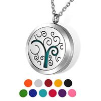 HOUSWEETY Aromatherapy Essential Oil Diffuser Necklace-Stainless Steel Locket Pendant,11 Refill Pads(Engraving)