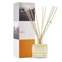 APOTHIA Aromatic Diffuser - Bronzed