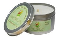 8 oz Silver Mystic Spirit Candle - Clean Burning Soy Wax, Pure Essential Oils Scented, Organic Hemp Wick, Reusable Tins, Hand Poured in Austin TX, Pet & Kid Friendly